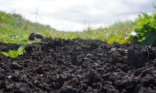 landbrugsproduktion-frugtbar-jord